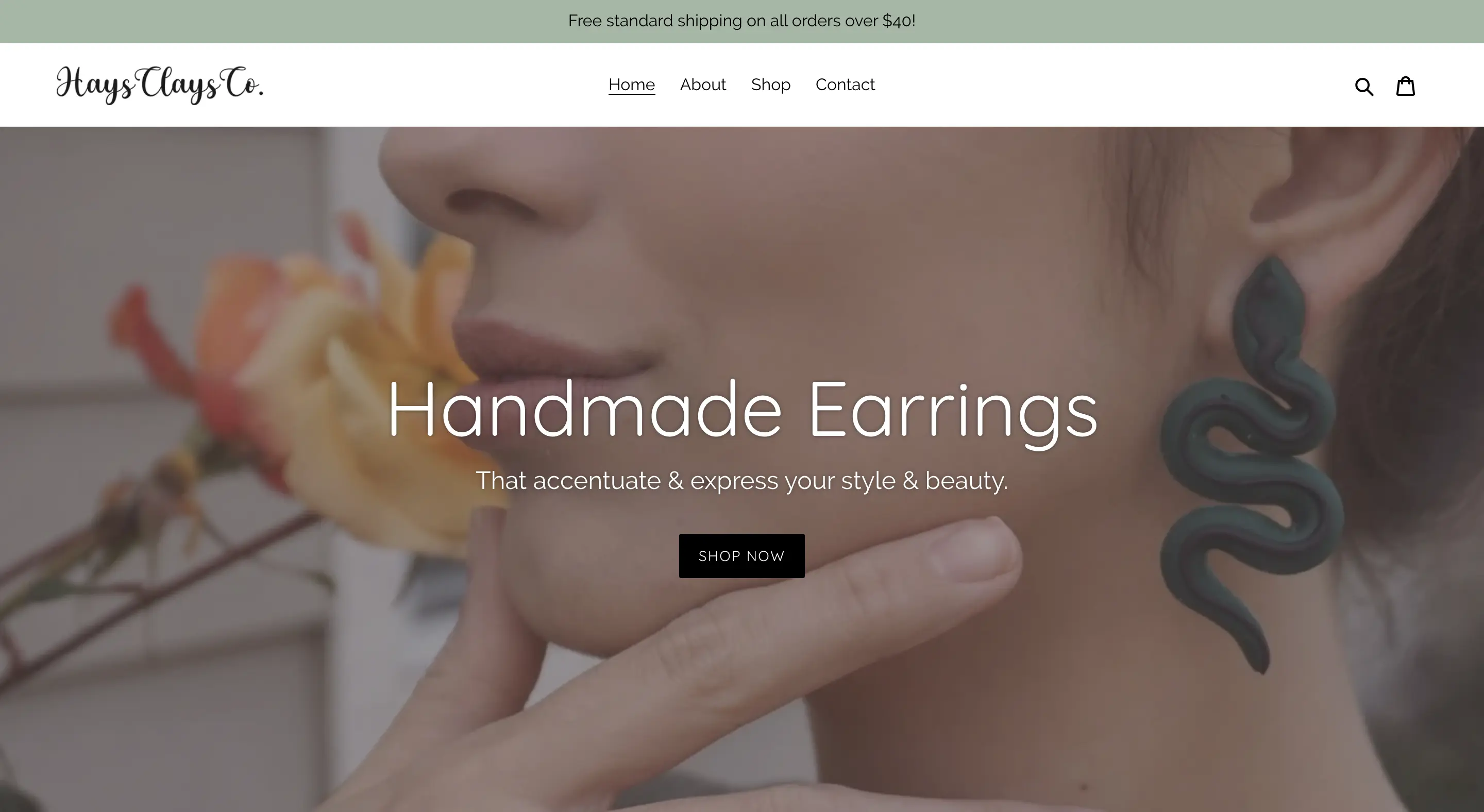 haysclaysco.com