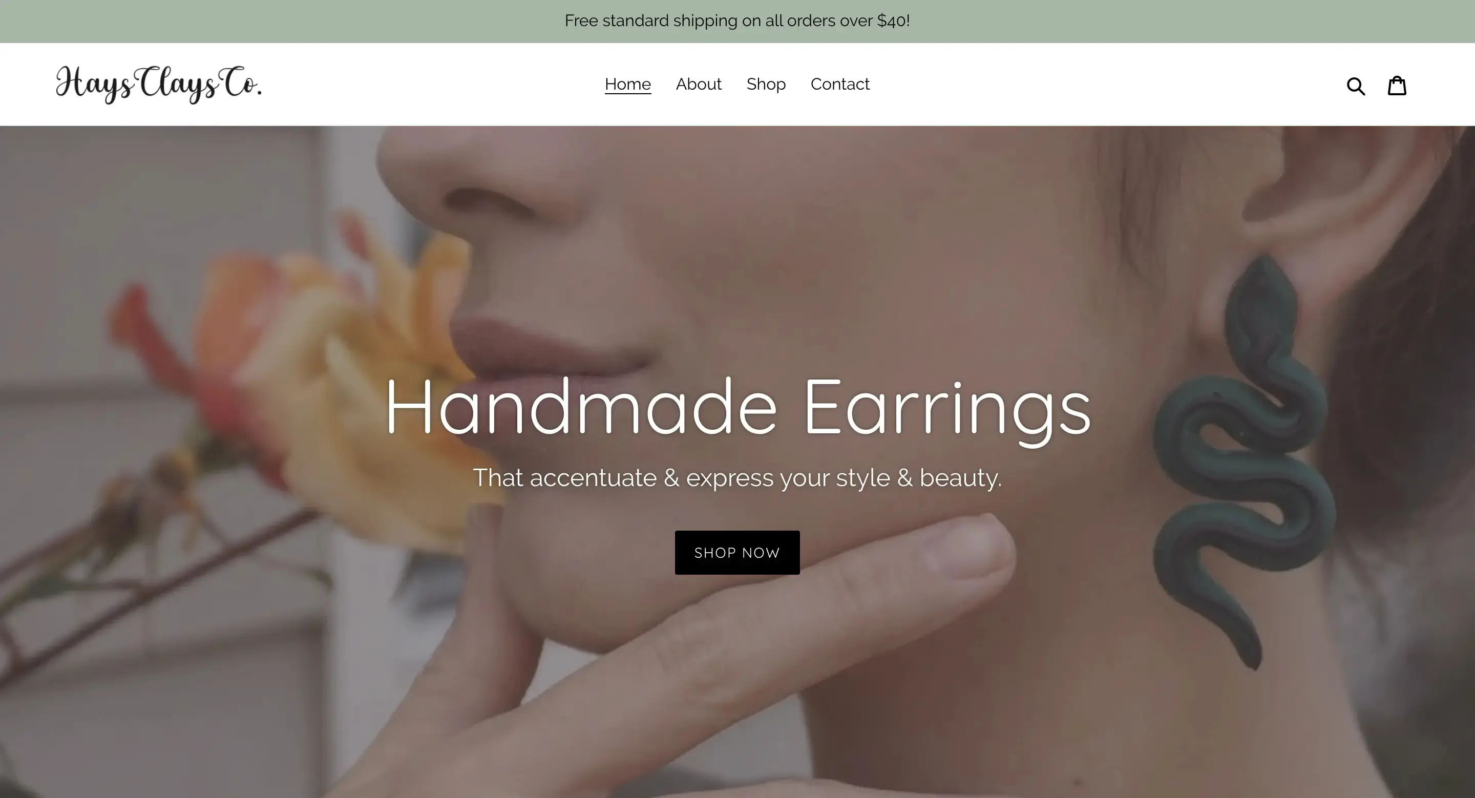 haysclaysco.com